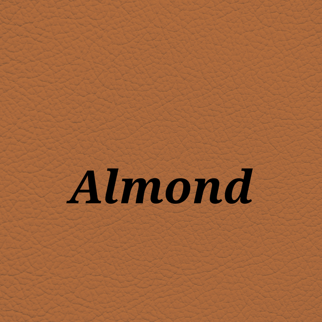 Almond — SkinTone Studio Palette