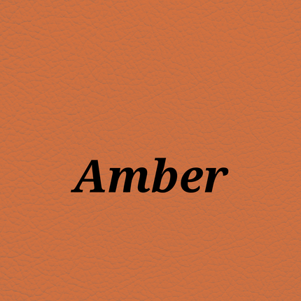 Amber — SkinTone Studio Palette