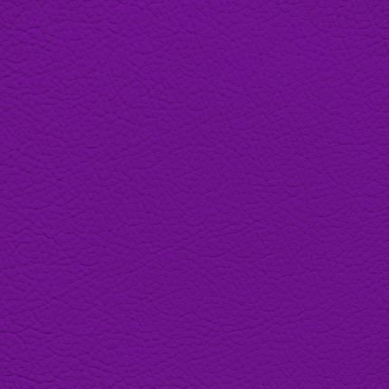 WALK101 — Amethyst