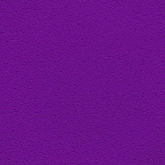 WALK101 — Amethyst