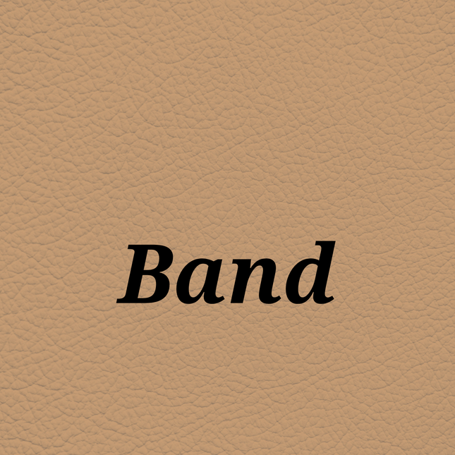 Band — SkinTone Studio Palette