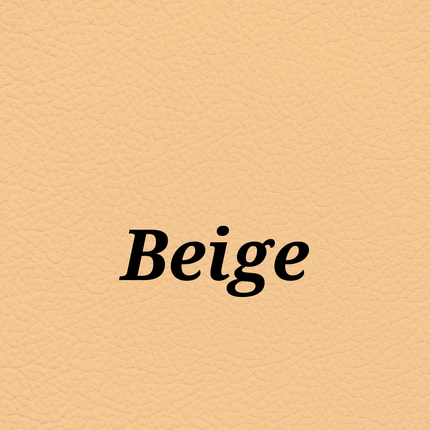 Beige — SkinTone Studio Palette