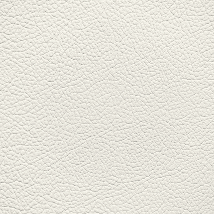 WALK101 — Bone Fade