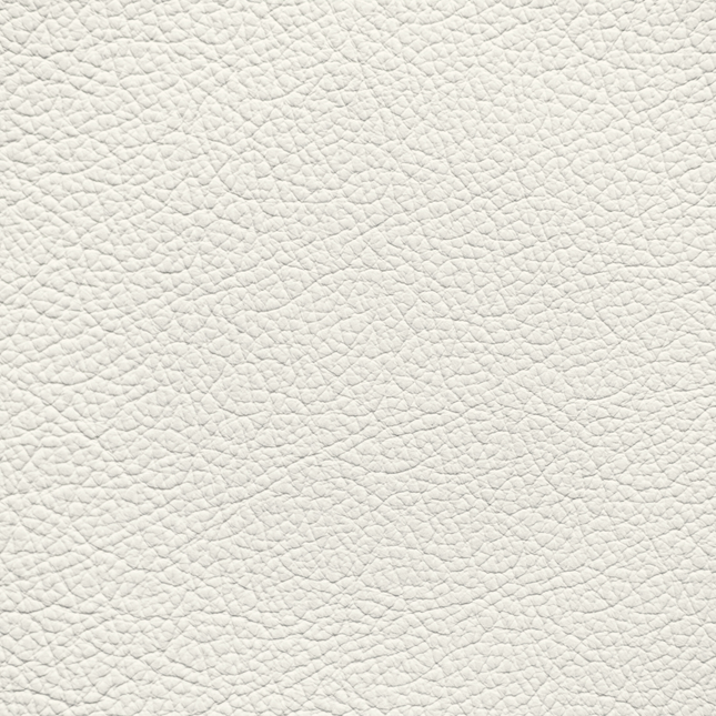 WALK101 — Bone Fade