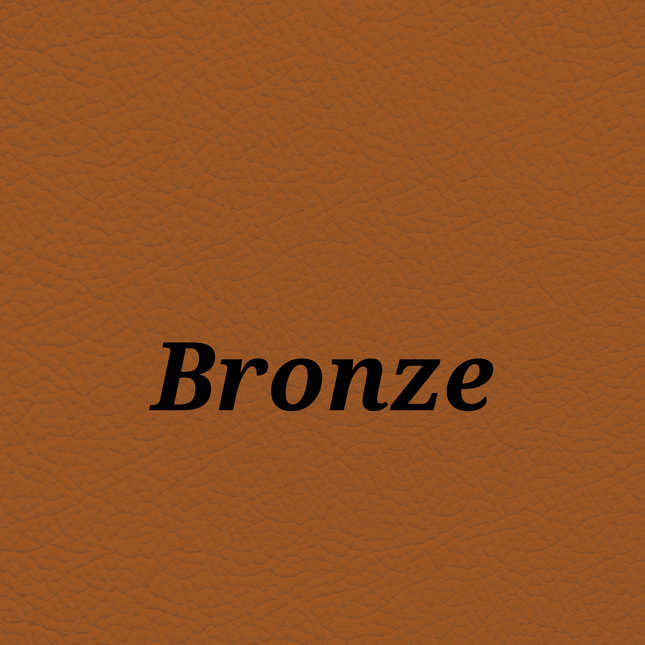 Bronze — SkinTone Studio Palette