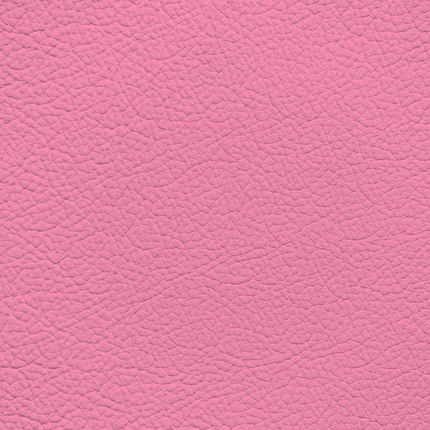 WALK101 — Bubblegum
