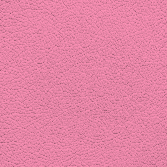 WALK101 — Bubblegum