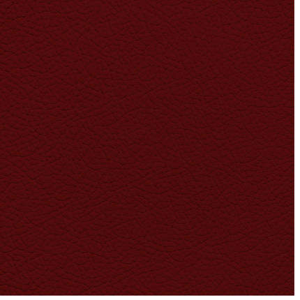 WALK101 — Burgundy Fade