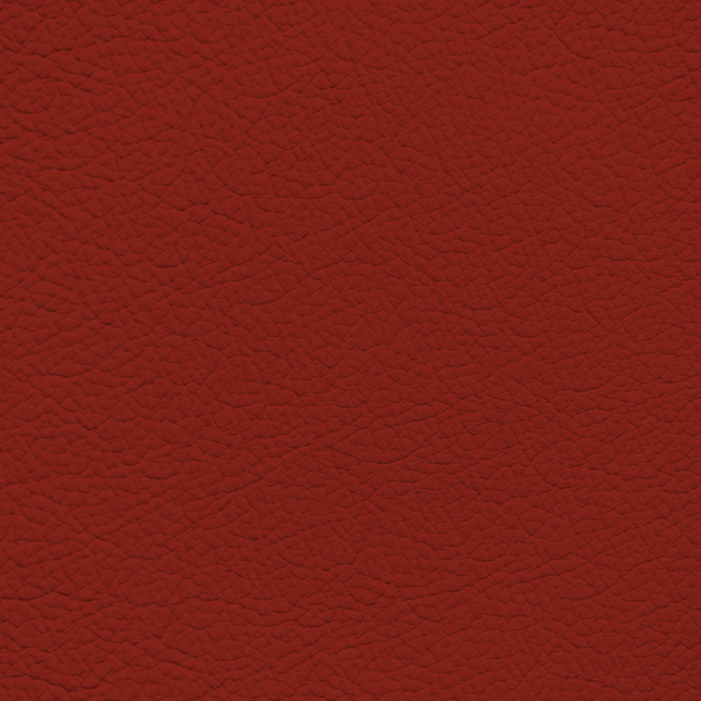 WALK101 — Burnt Clay