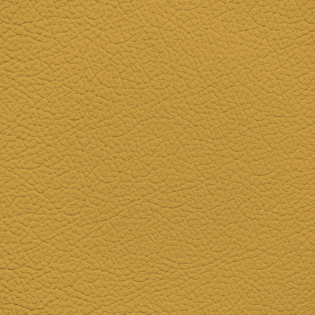 WALK101 — Butterscotch