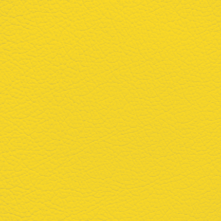 WALK101 — Canary