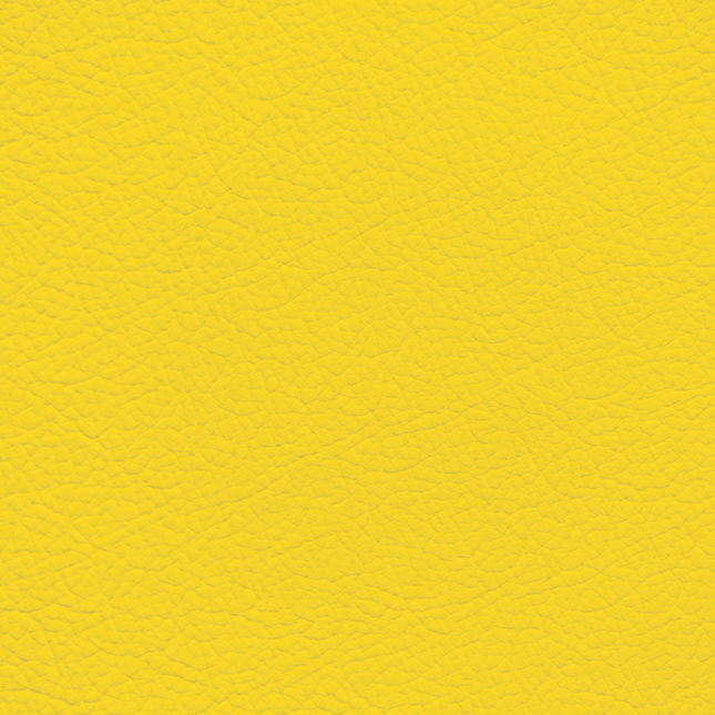 WALK101 — Canary