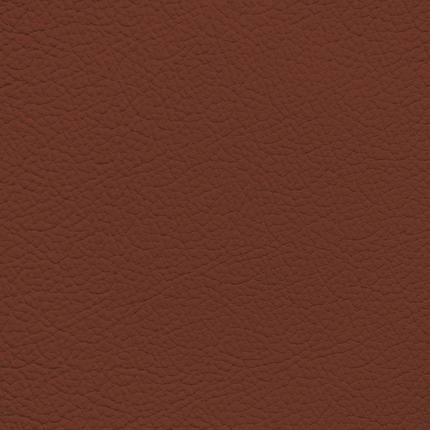 WALK101 — Chestnut