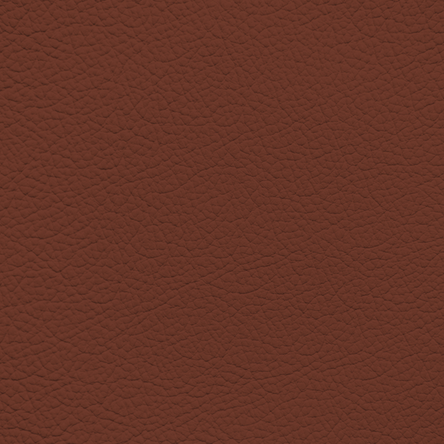 WALK101 — Chestnut