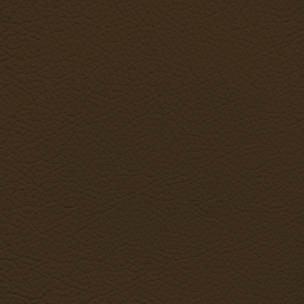 WALK101 — Chocolate Bar