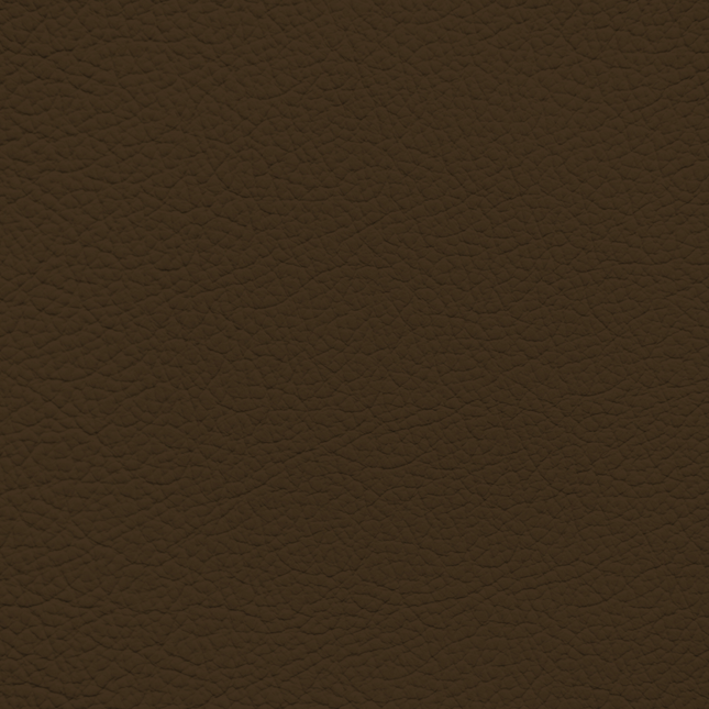 WALK101 — Chocolate Bar