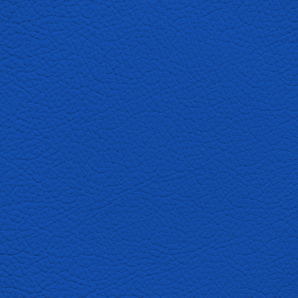 WALK101 — Cobalt