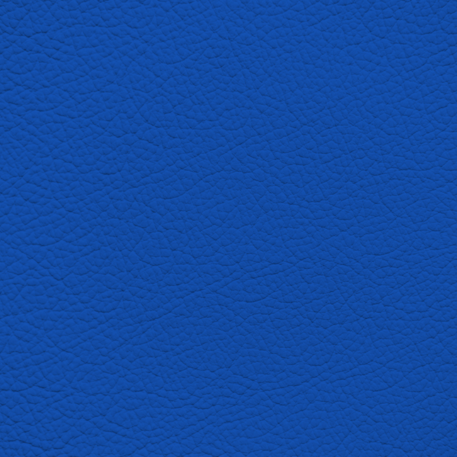 WALK101 — Cobalt