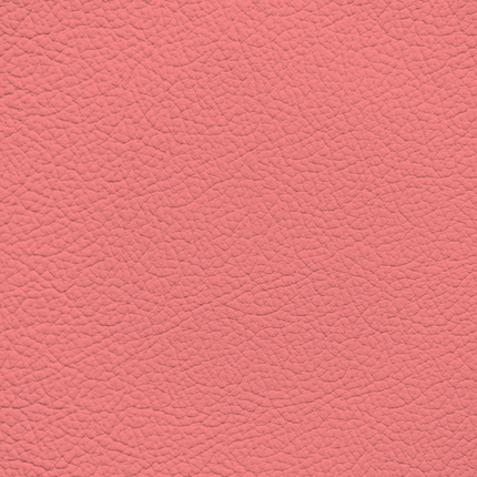 WALK101 — Coral Punch