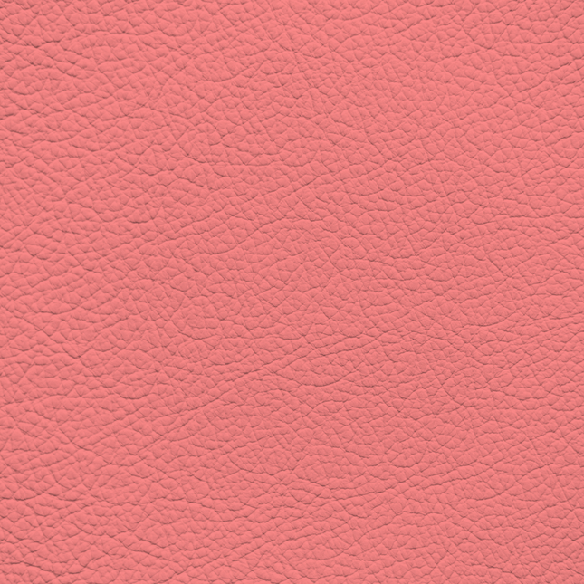 WALK101 — Coral Punch