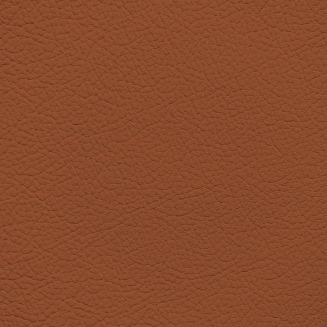 WALK101 — Desert Clay