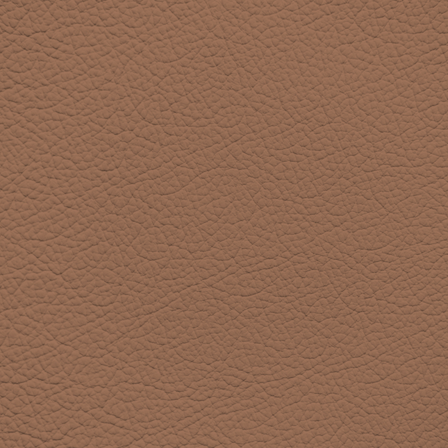 WALK101 — Driftwood