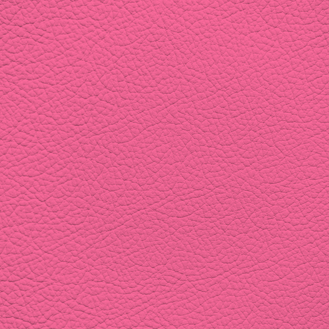 WALK101 — Flamingo