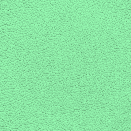 WALK101 — Fresh Mint