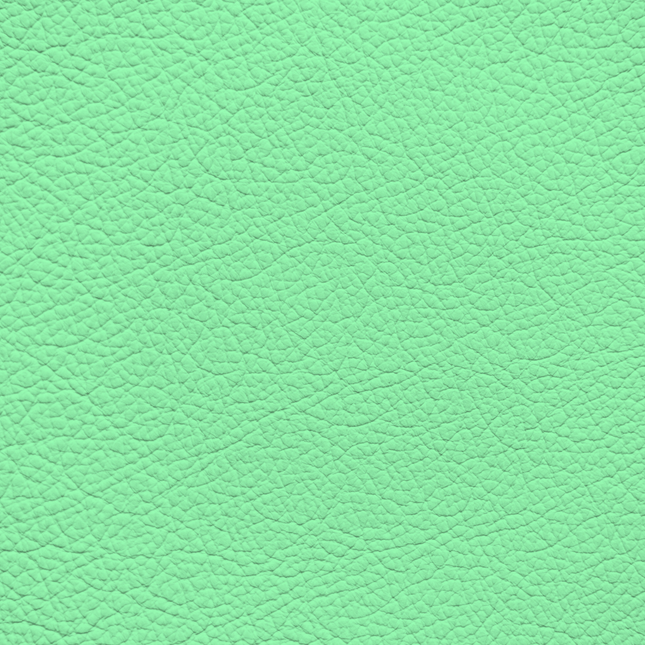 WALK101 — Fresh Mint