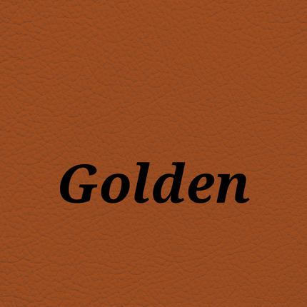 Golden — SkinTone Studio Palette