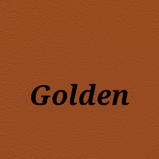 Golden — SkinTone Studio Palette