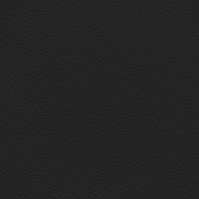 WALK101 — Graphite