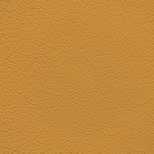 WALK101 — Honey Oak