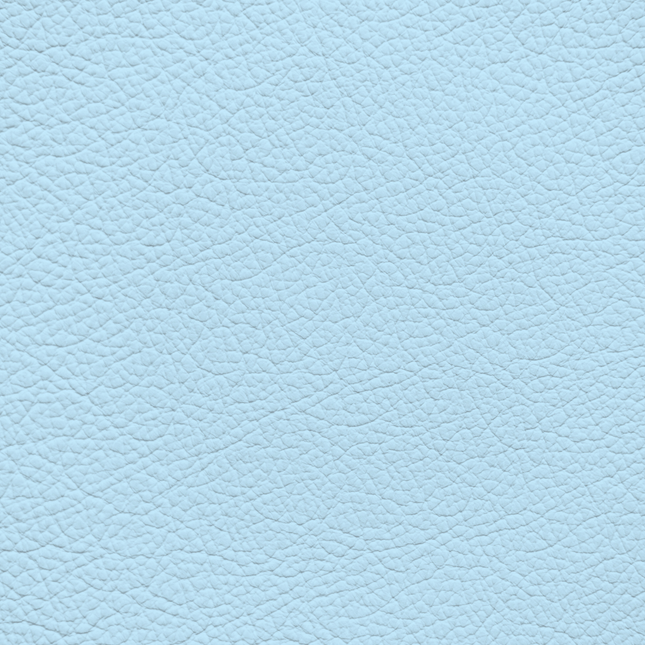 WALK101 — Ice Blue