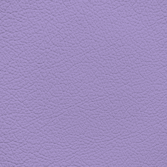 WALK101 — Lilac Fade