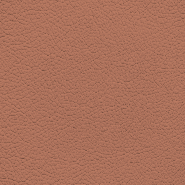 WALK101 — Maplewood