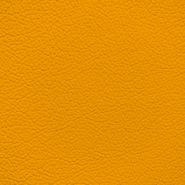 WALK101 — Marigold