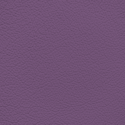 WALK101 — Mauve Mist