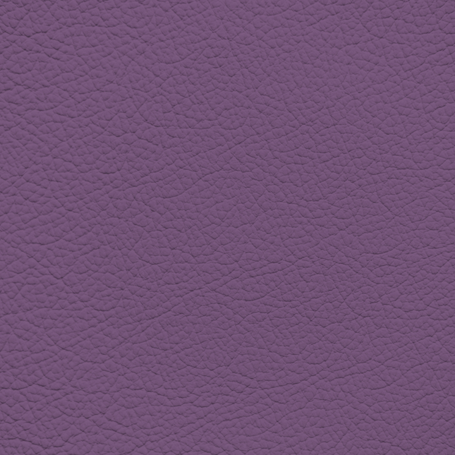 WALK101 — Mauve Mist