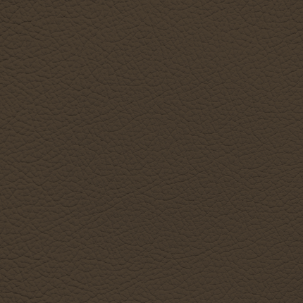 WALK101 — Mocha Grind