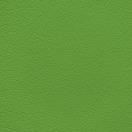 WALK101 — Moss