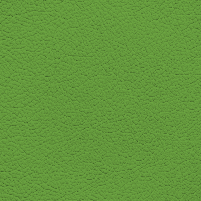 WALK101 — Moss