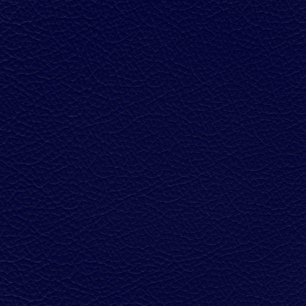 WALK101 — Navy Fade