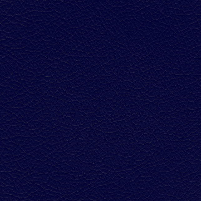 WALK101 — Navy Fade