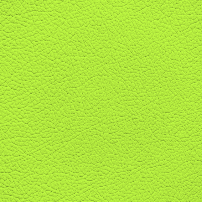 WALK101 — Neon Kiwi