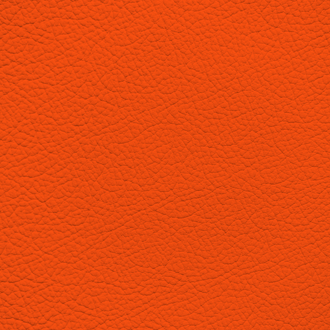 WALK101 — Orange Pop