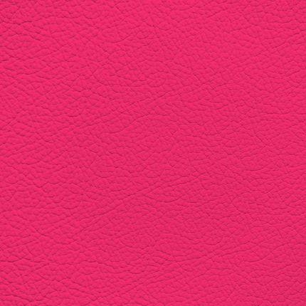 WALK101 — Pink Pop