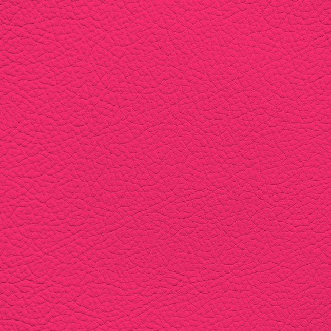 WALK101 — Pink Pop