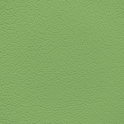 WALK101 — Pistachio