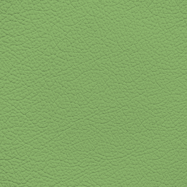 WALK101 — Pistachio